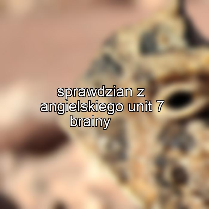 sprawdzian z angielskiego unit 7 brainy