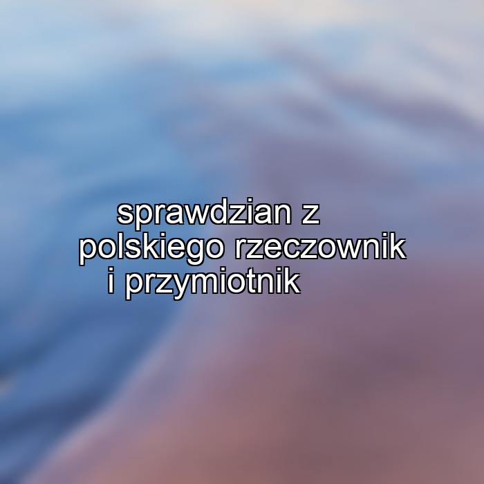 sprawdzian z polskiego rzeczownik i przymiotnik